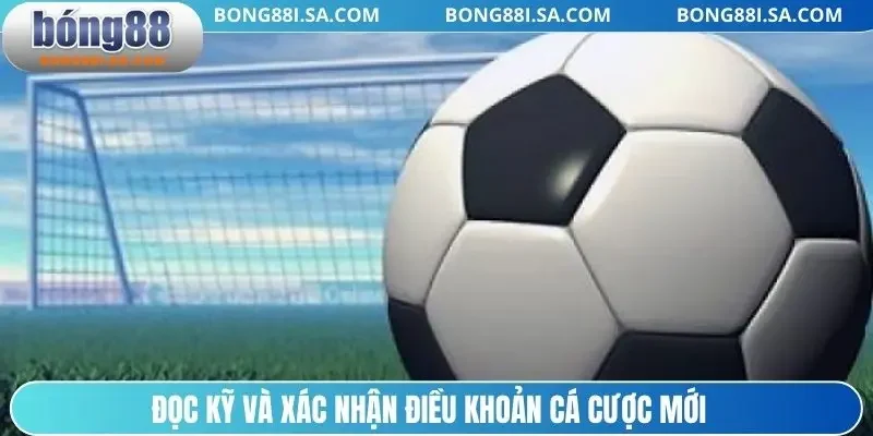 Đọc kỹ và xác nhận điều khoản cá cược mới