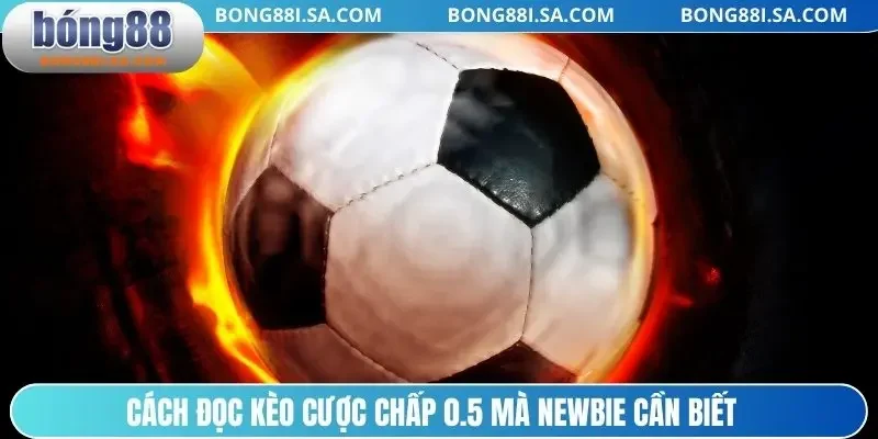 Cách đọc kèo cược chấp 0.5 mà newbie cần biết